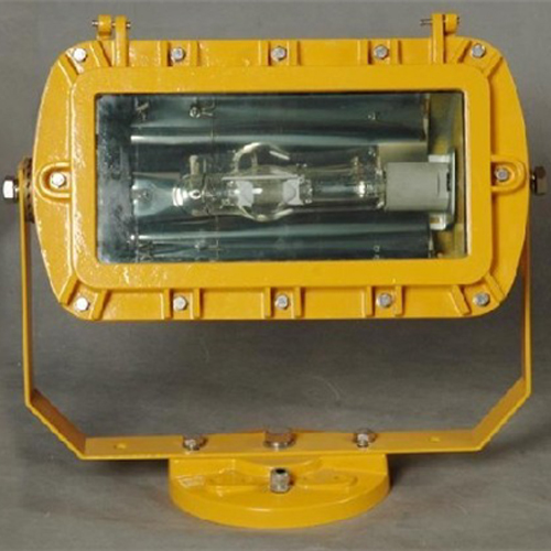BFC8100.jpg